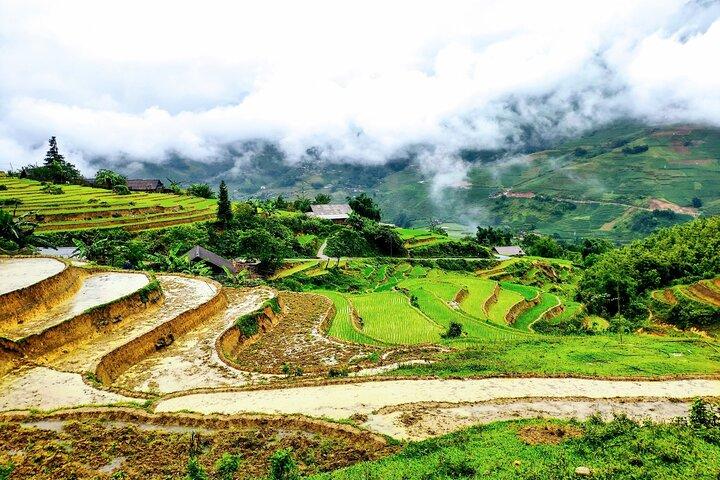 Hanoi to Sapa: 3-Day Scenic Highlands with Homestay & Hotel