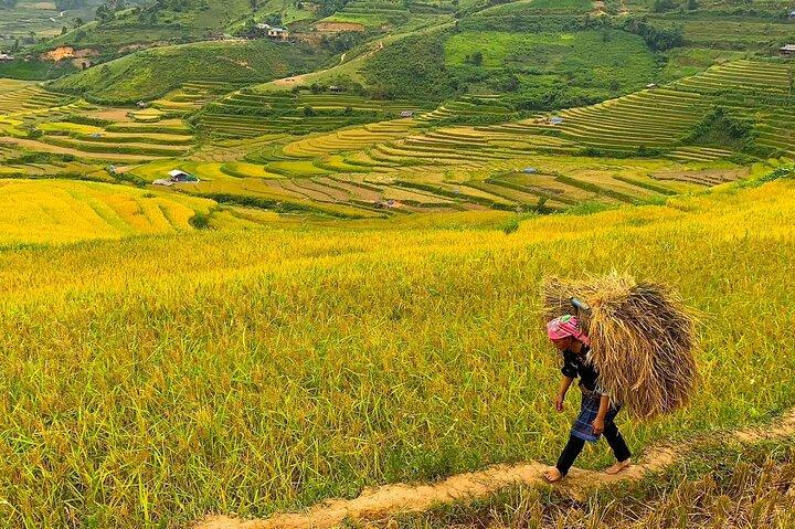 Hanoi to Sapa: 3-Day Adventure with 2 Nights in Ta Van Village
