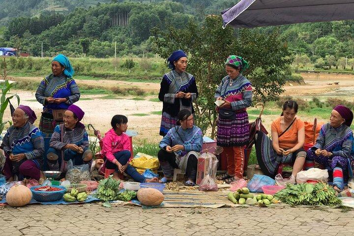 From Hanoi: 2-Day Sapa Scenic Highlands with overnight Homestay