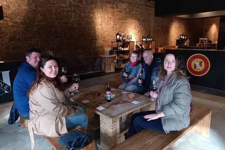 Haro, Laguardia & Two Rioja Wineries Day Trip from Bilbao