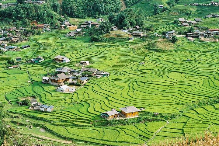 Hanoi to Sapa: 2-Day Trekking Adventure with Overnight Homestay