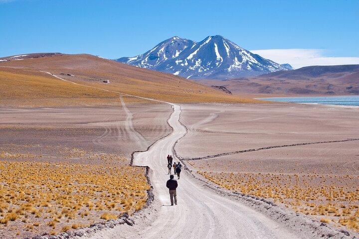Full Day Tour in Piedras Rojas Atacama Includes Ticket