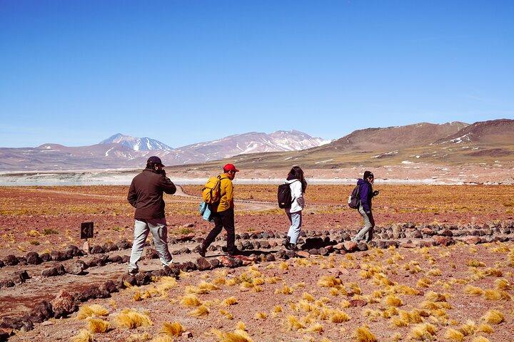 Full Day Tour in Piedras Rojas Atacama Includes Ticket