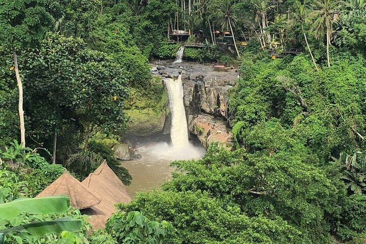 Best Full Day Of Ubud Private Guided Tour