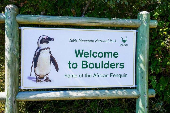 Cape of Good Hope and Boulders Penguins Full Day Tour