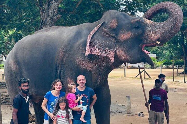 Pinnawala and Kandy Day Tour from Colombo or Negombo