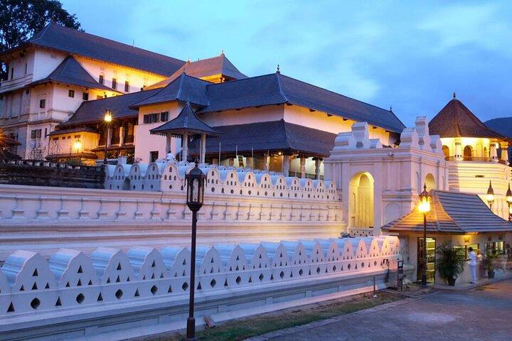 Pinnawala and Kandy Day Tour from Colombo or Negombo