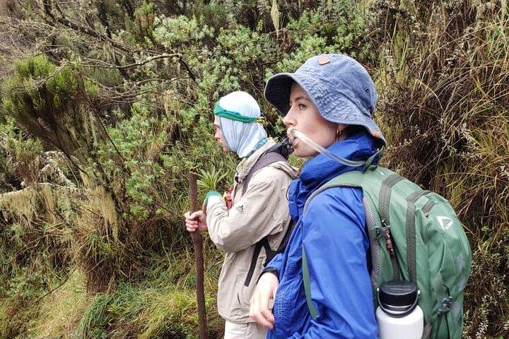 Mount Kilimanjaro Trekking – 6 Days Marangu Route