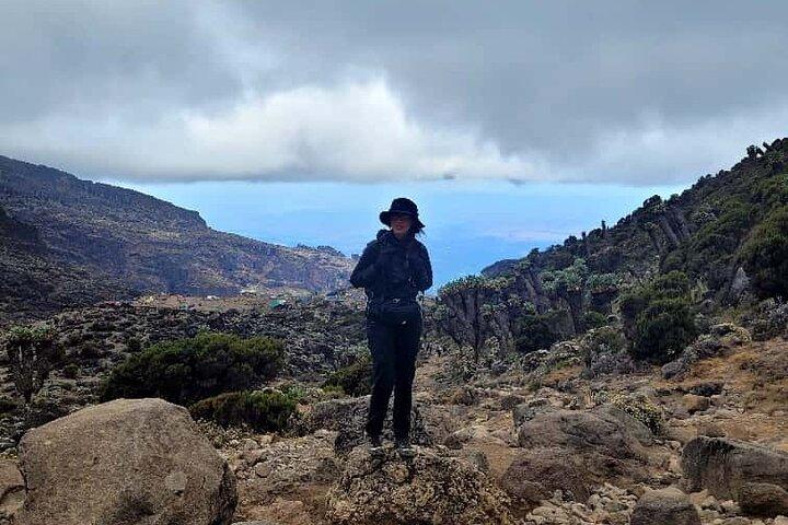 Mount Kilimanjaro Trekking – 6 Days Marangu Route