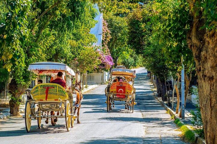 Princes Islands Tour from Istanbul with Lunch