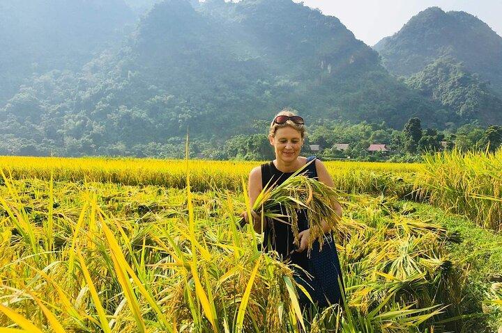 Mai Chau Pu Luong Discovery 3 Days 2 Nights Tour