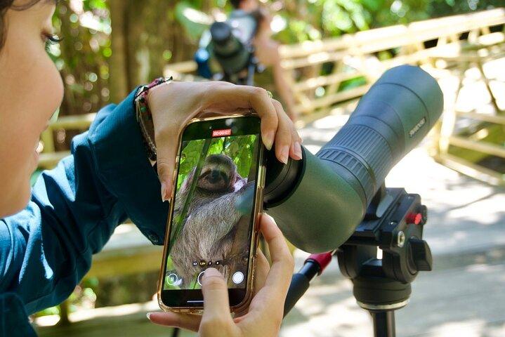 Manuel Antonio National Park Wildlife Tour