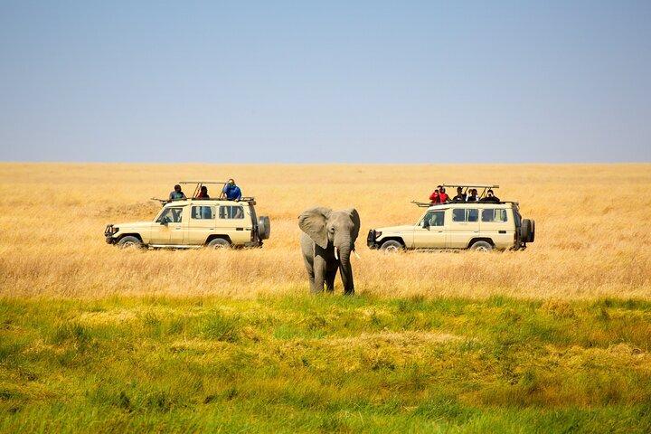 8 Day Maasai Village And Wildlife Experience
