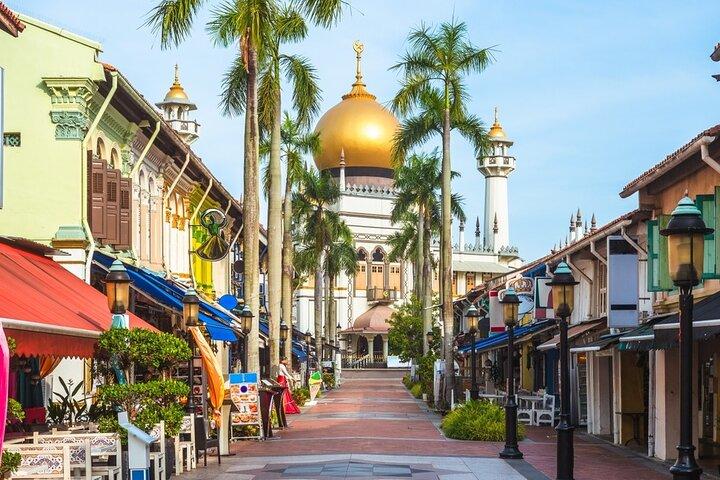 Private Singapore City Essentials Full Day Tour