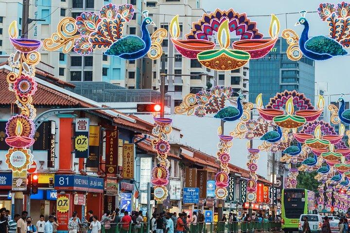 Private Singapore Tour Chinatown with Little India and Kampong