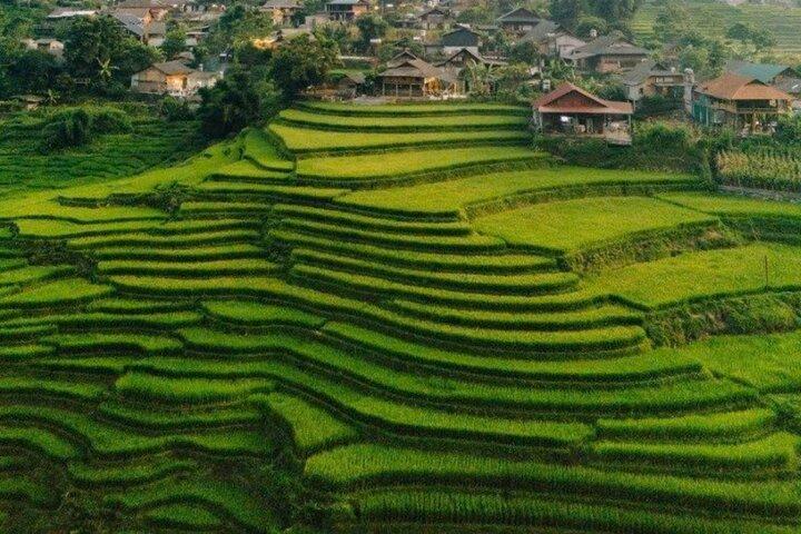Sapa Half Day Trekking Tour