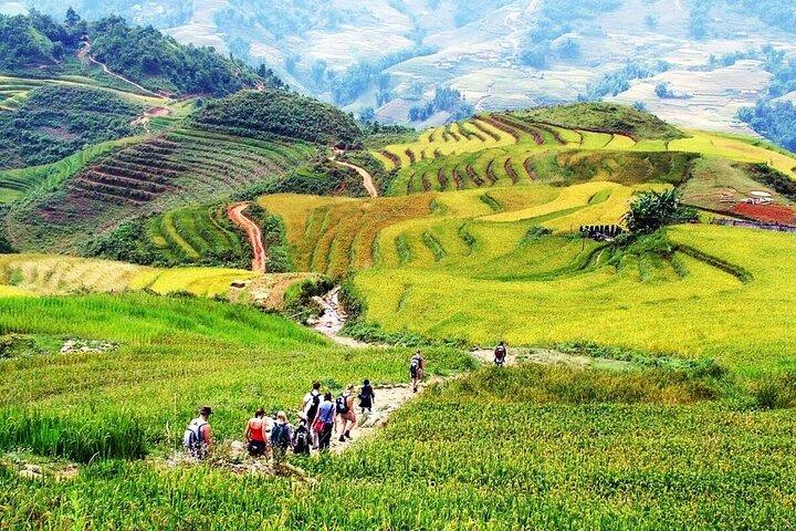 Sapa Half Day Trekking Tour