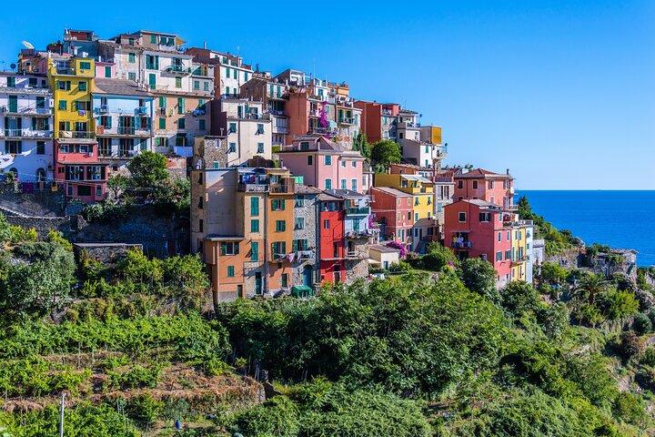 Cinque Terre Day Trip with Optional Hiking or Pisa from Florence