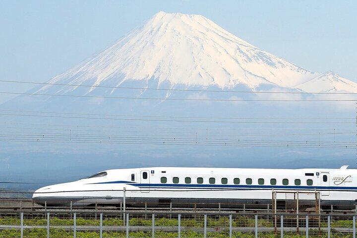 Tokyo to Kyoto Bullet Train Trip with 1-Day Subway and Bus Pass