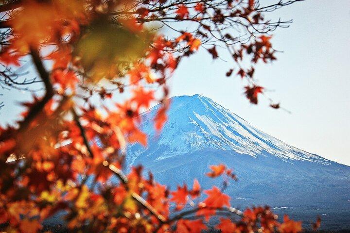 Tokyo to Kyoto Bullet Train Trip with 1-Day Subway and Bus Pass