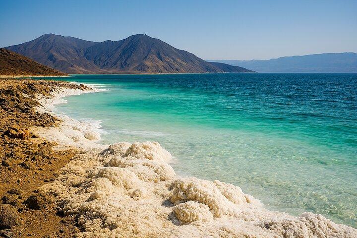 Lake Assal and Whale Shark Full Day Combo Tour in Djibouti