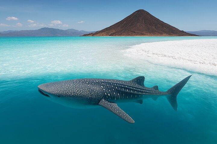 Lake Assal and Whale Shark Full Day Combo Tour in Djibouti