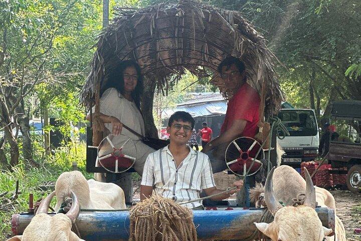 Colombo to Sigiriya and Dambulla Day Trip: UNESCO Sites Tour