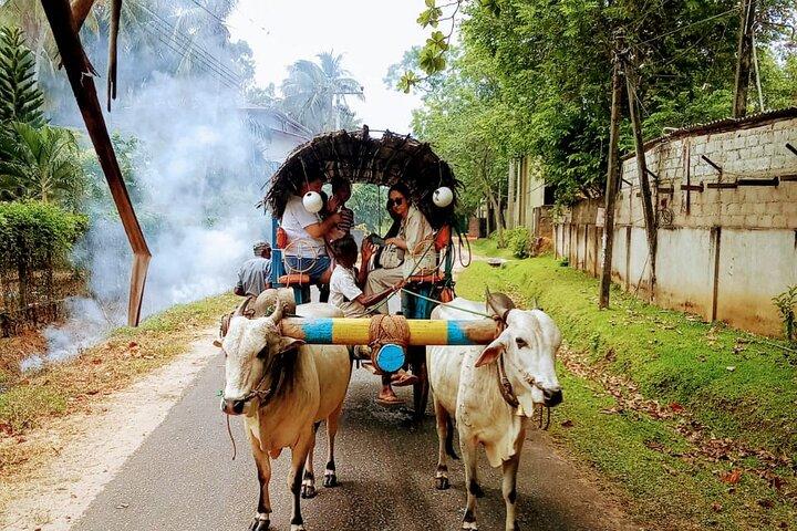 Colombo to Sigiriya and Dambulla Day Trip: UNESCO Sites Tour