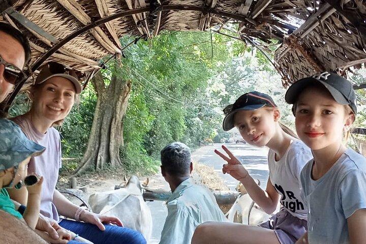 Colombo to Sigiriya and Dambulla Day Trip: UNESCO Sites Tour