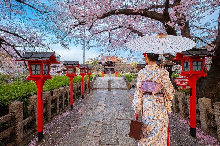 Kyoto Private Customizable Day Tour with Guide and Vehicle