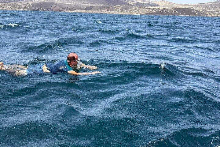 Lake Assal and Whale Shark Full Day Combo Tour in Djibouti