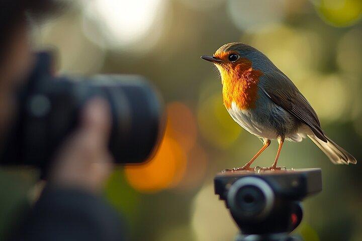 Bird Watching Expedition in Kenya