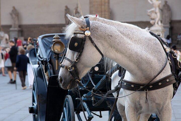 Horse Drawn Carriage Ride in Florence