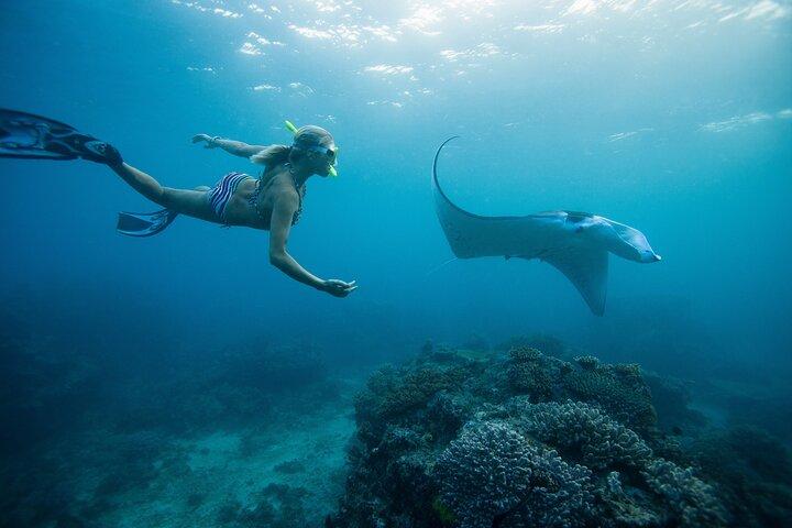 Nusa Penida Manta Point or Manta Bay Snorkeling Trip in Bali