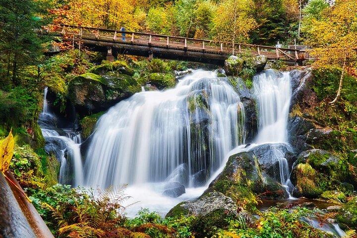From Strasbourg: Visit to the Black Forest in Triberg, Titisee, Freiburg