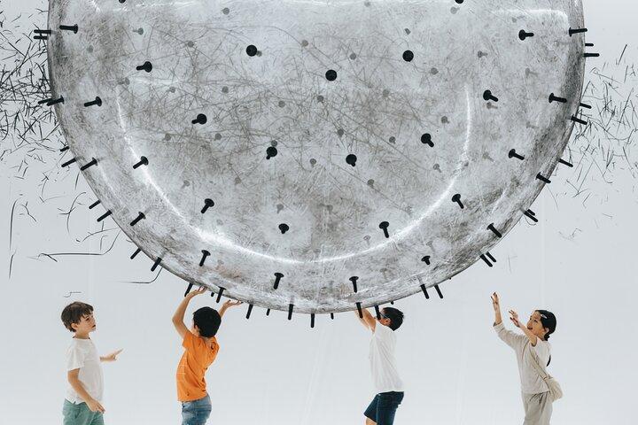 Balloon Museum Houston Admission