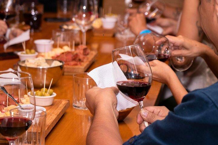 Private Full Day Peljesac Wine Tasting Tour from Dubrovnik