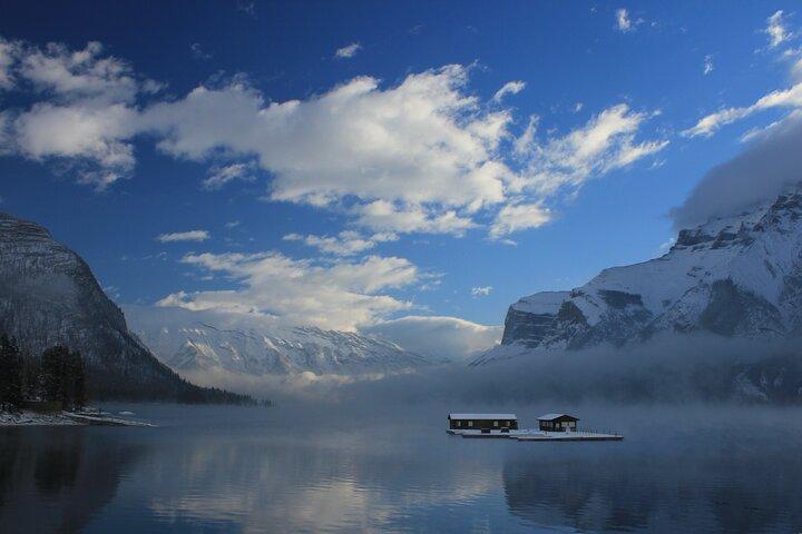 4 Hour Banff Safari Drive Evening Wildlife Viewing and Photo Tour