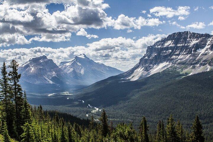 4 Hour Banff Safari Drive Evening Wildlife Viewing and Photo Tour