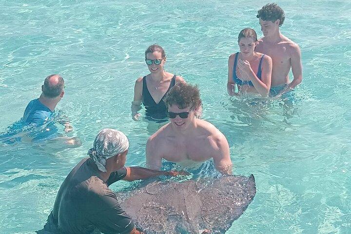 Stingray City Sandbar 3.5 hr Snorkel Tour & Starfish Beach