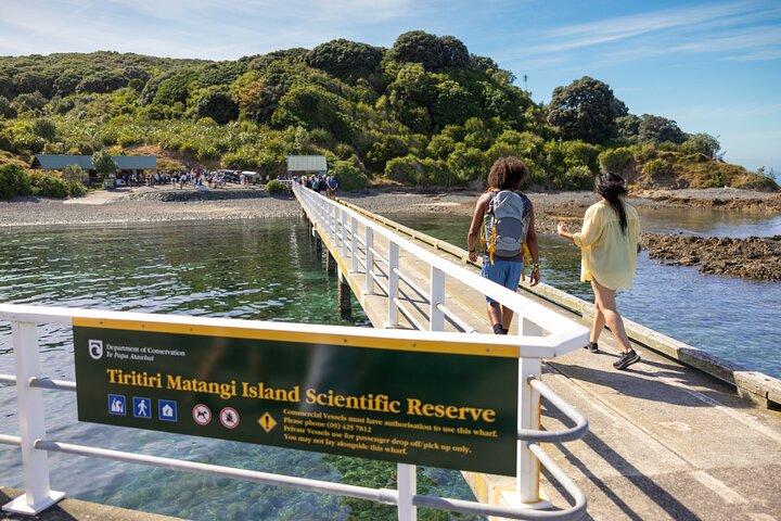 Guided Snorkeling and Island Exploration in Auckland