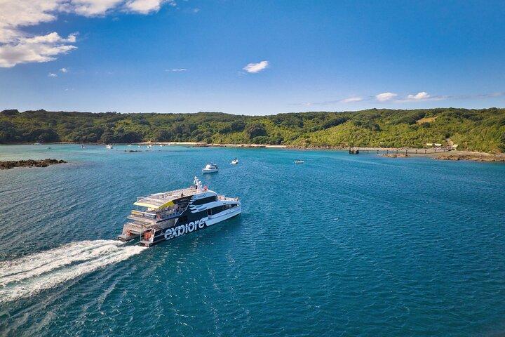 Guided Snorkeling and Island Exploration in Auckland