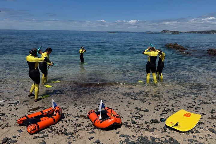 Guided Snorkeling and Island Exploration in Auckland