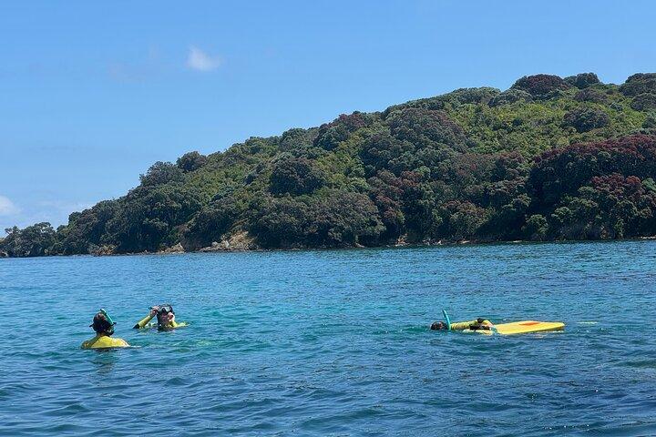 Guided Snorkeling and Island Exploration in Auckland