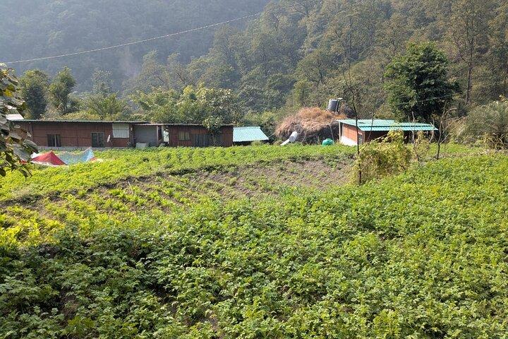 Rishikesh: Half-Day Secret Waterfall Trek with Village Visit
