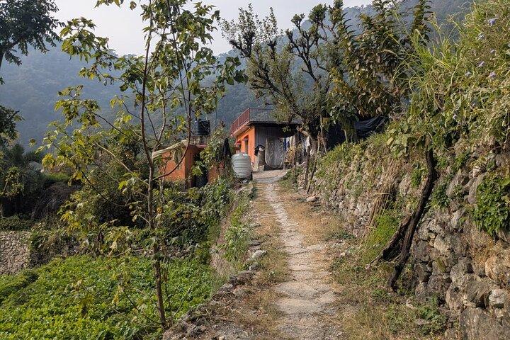 Rishikesh: Half-Day Secret Waterfall Trek with Village Visit
