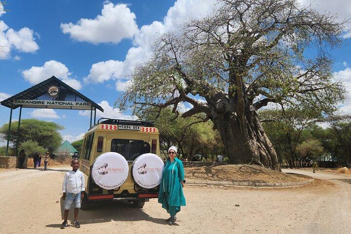 5-Day Tarangire, Serengeti & Ngorongoro Safari from Arusha