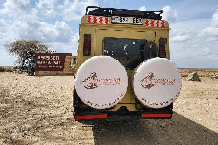 5-Day Tarangire, Serengeti & Ngorongoro Safari from Arusha