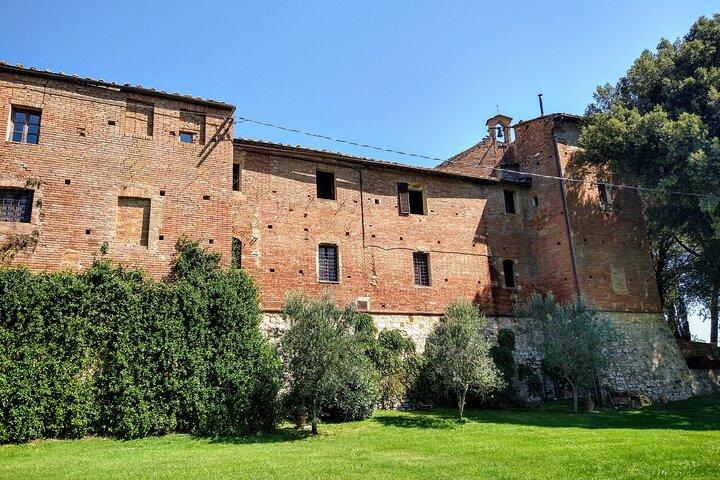 Montalcino: Guided Winery Tour with Tuscan Wine & Cheese Tasting