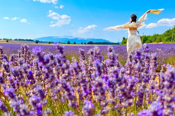 A day in the Lavenders and Villages of Provence